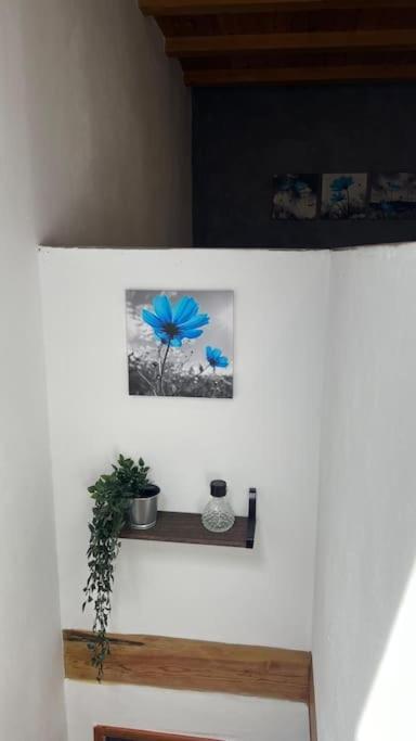 Ca La Trini Vivienda Vacacional Nava Luaran gambar
